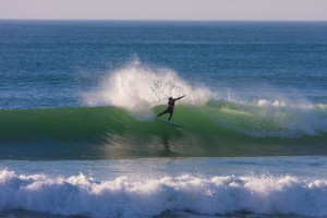 IMG 8504